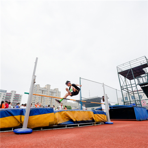 WDCM上传图片 WDCM上传图片