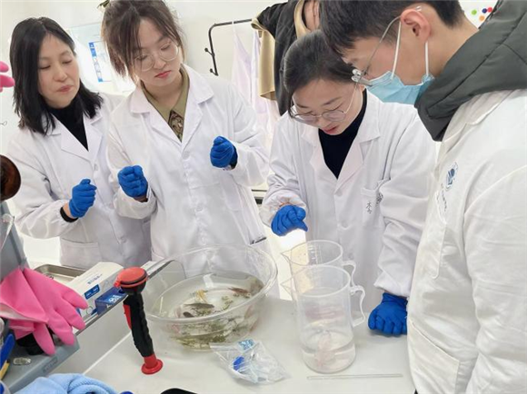 WDCM上传图片 WDCM上传图片