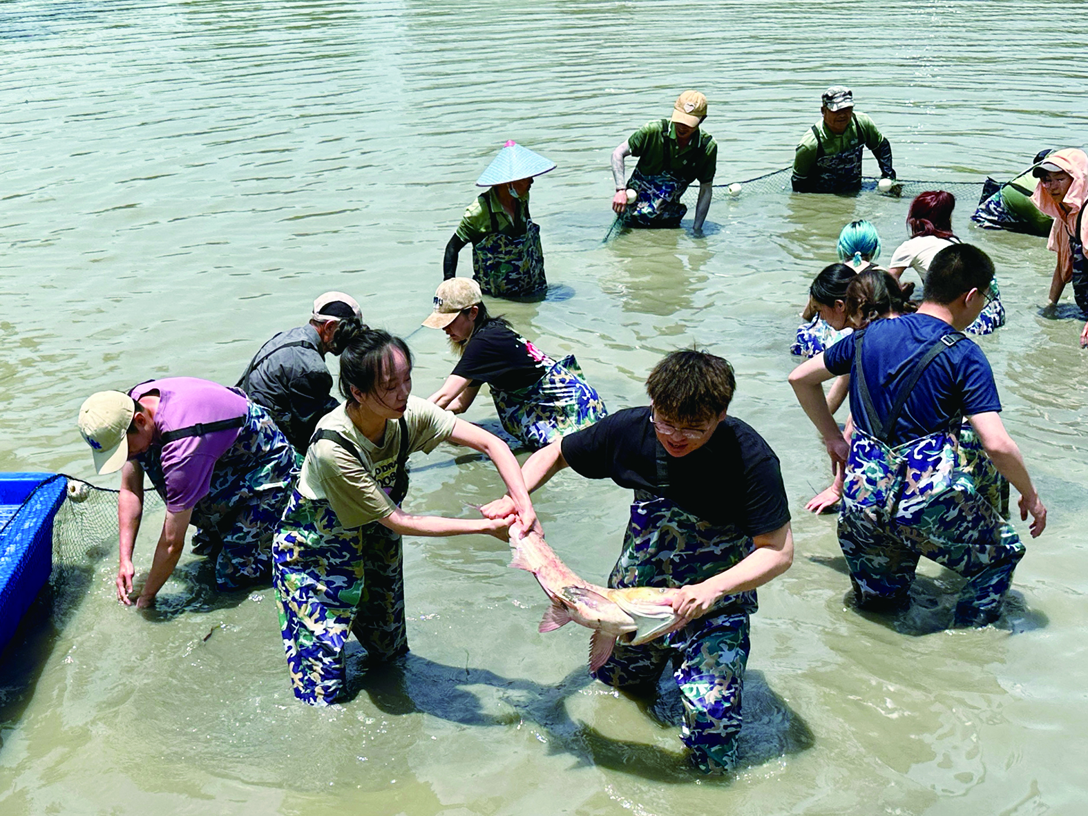 去Waijing Lake捕捉新鲜的食物，老师和学习以捕捉