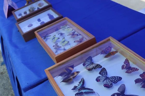 0527_164418638_587.jpg 640 (6).jpg