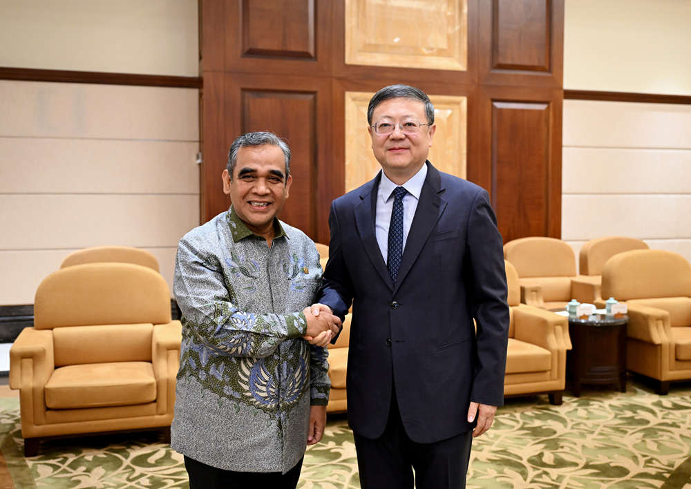 Chen Jining正在与印尼印度尼西亚行动党秘书长Mu