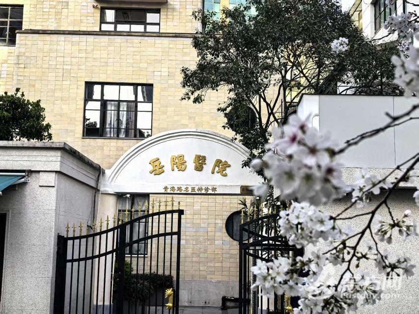 从“名医摇篮”到“国家旗舰”海派中医“金字招牌”如何历久弥新?