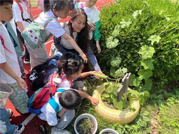 WDCM上传图片 WDCM上传图片