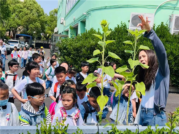 WDCM上传图片 WDCM上传图片