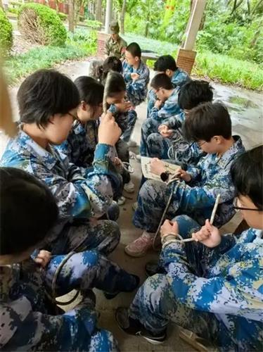 WDCM上传图片 WDCM上传图片