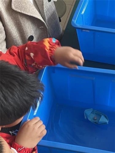 WDCM上传图片 WDCM上传图片