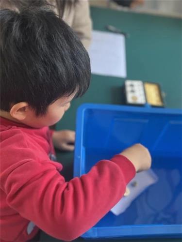 WDCM上传图片 WDCM上传图片