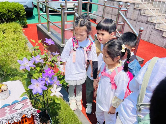 WDCM上传图片 WDCM上传图片