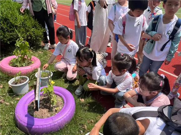 WDCM上传图片 WDCM上传图片