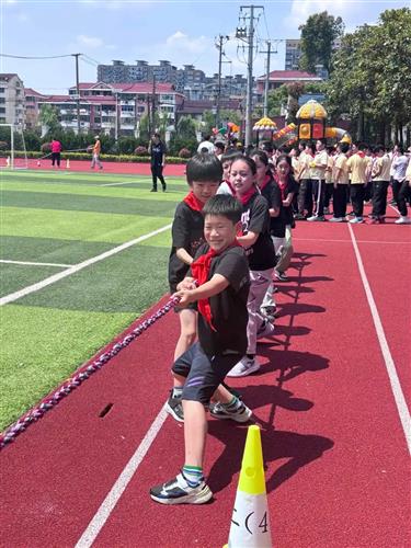 WDCM上传图片 WDCM上传图片