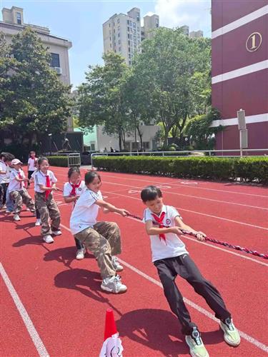 WDCM上传图片 WDCM上传图片