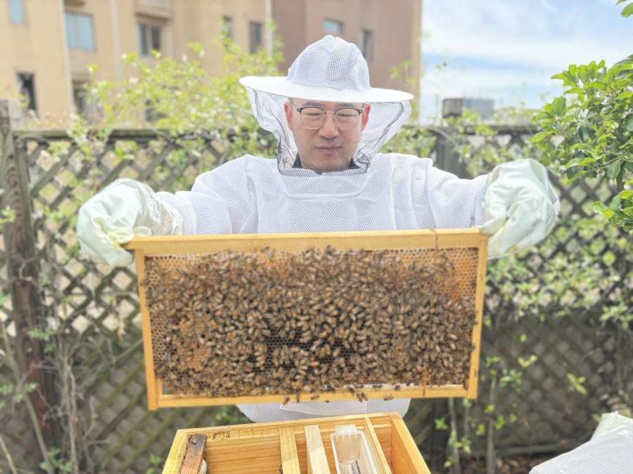 在“空中花园”找寻野趣!?这个社区蜂箱项目,正探索重建城市缺失的自然链条