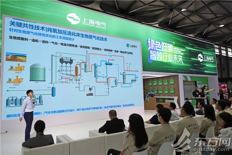 专家介绍一项针对生物质气化特性优化的工艺流程设计