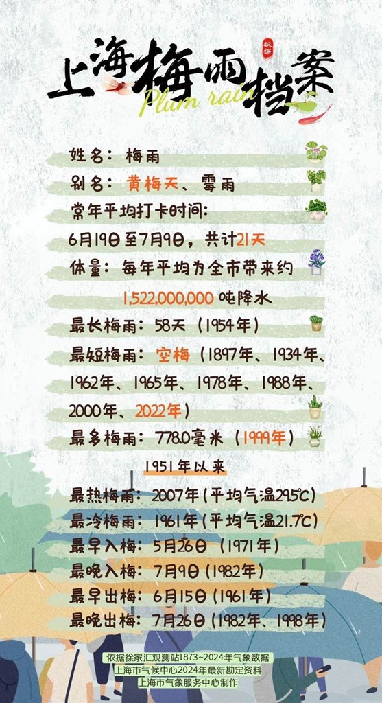 梅花鲜花将于12天前来上海！李子盛开时，风暴就