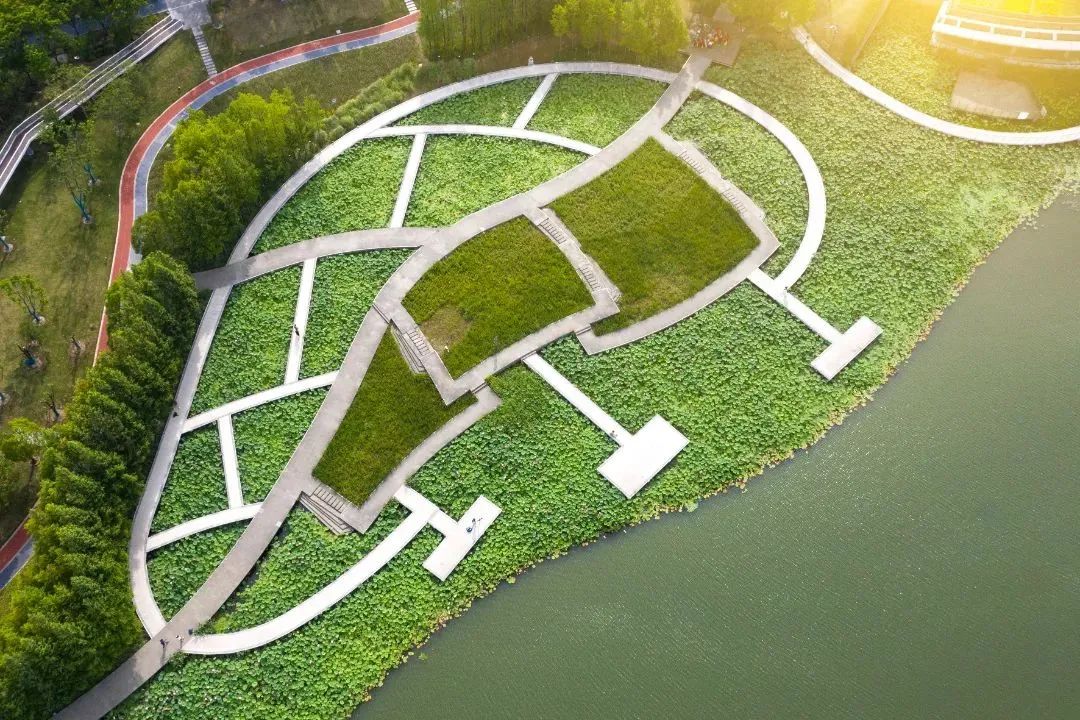 正文图片 正文图片