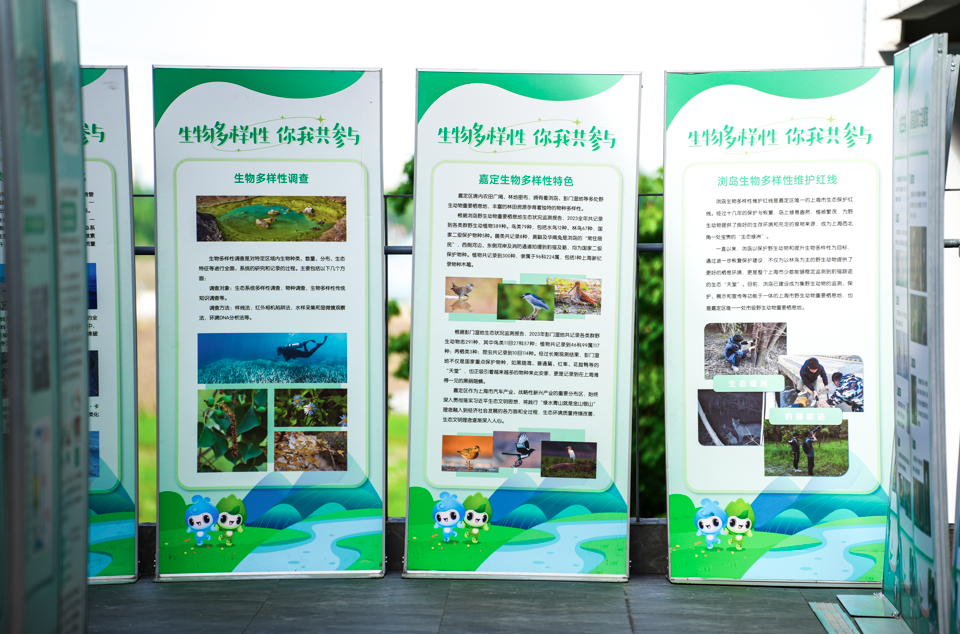 正文图片 正文图片