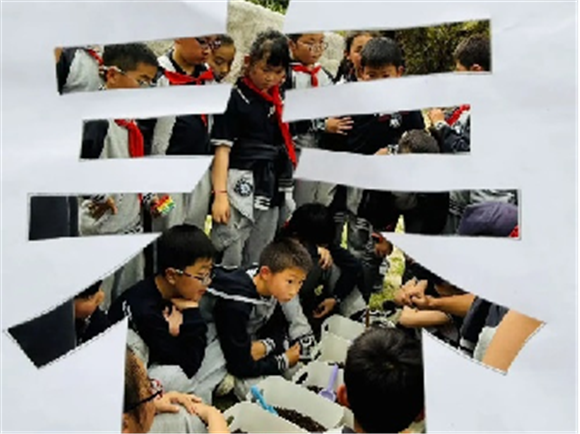 WDCM上传图片 WDCM上传图片