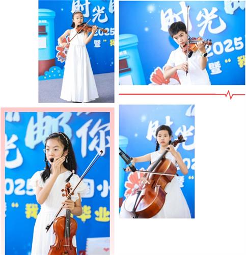 WDCM上传图片 WDCM上传图片