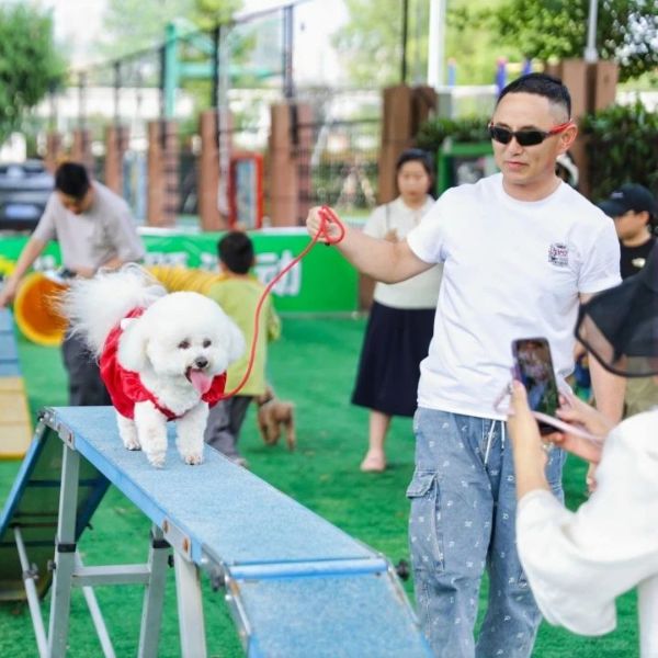 0613_173945123_633.jpg f9a7fd685d451b9933eabc8f98f98ad2.jpg