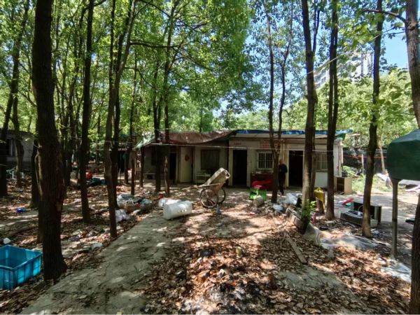 0616_085312701_926.jpg 微信图片_20250616085204.png