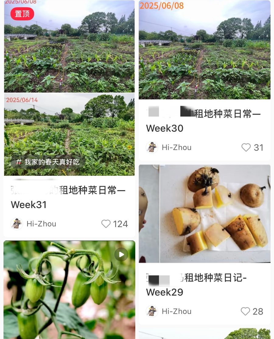 上海年轻人在白天在网格上工作，并在周末担任