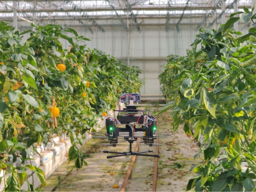 无人机温室作业实景图