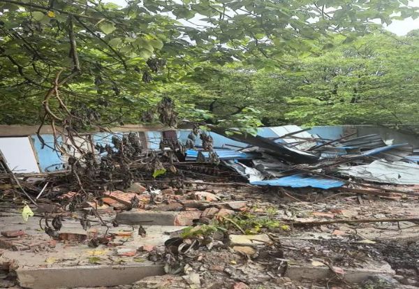 0617_092406098_357.jpg 图片5.png