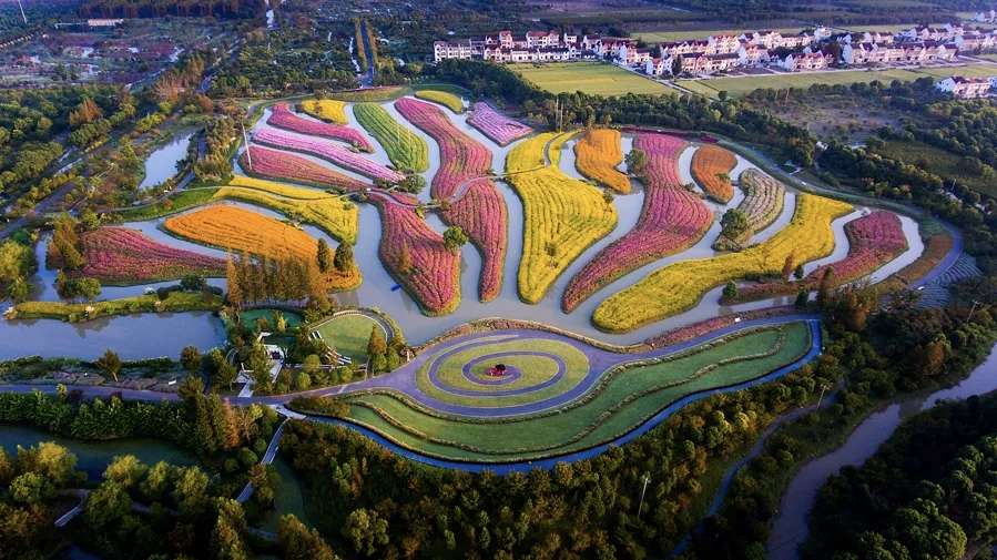 花开海上生态园