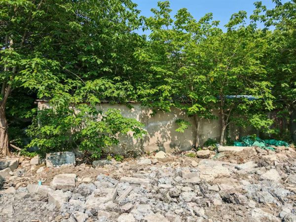 0617_092315726_991.jpg 图片4.png