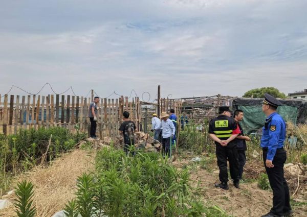 0617_091847595_273.jpg 图片1.png