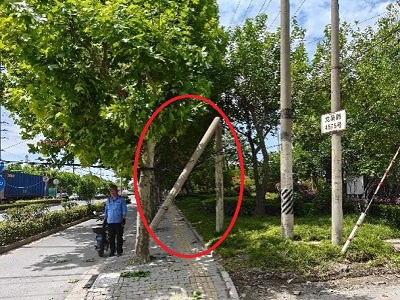 0620_141950015_247.jpg 立杆吴泾1.jpg