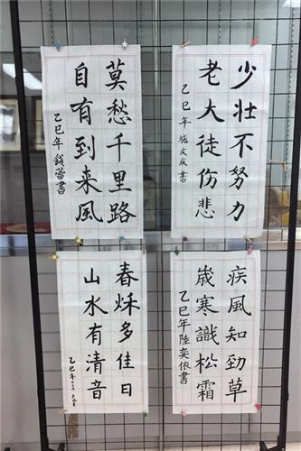 WDCM上传图片 WDCM上传图片