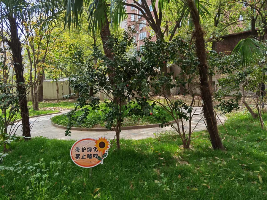 中央城市地区的这个古老社区从内部“改变”，