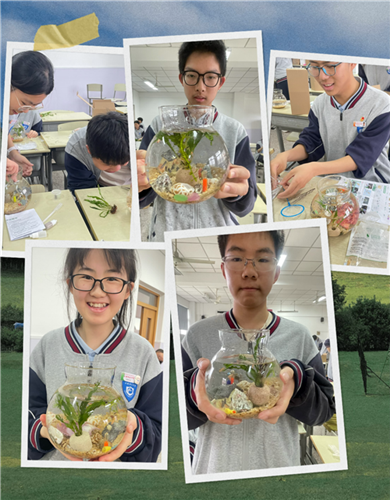 WDCM上传图片 WDCM上传图片