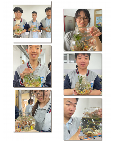 WDCM上传图片 WDCM上传图片