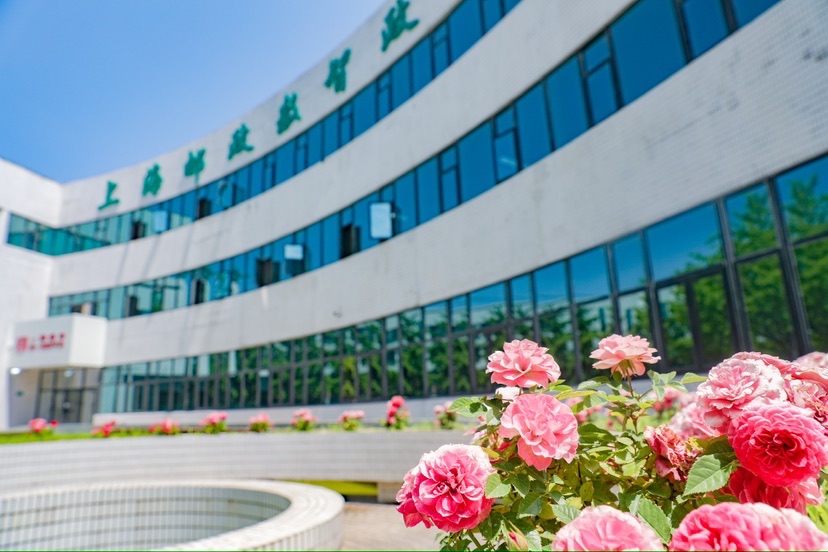 为便利服务创建新的基准，正式开设了上