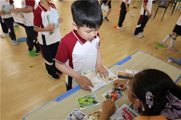 WDCM上传图片 WDCM上传图片