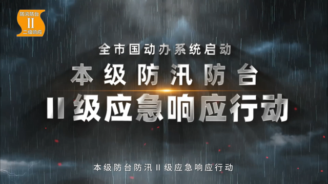实训强应急 守护保安澜！上海市国动办系统成功举行防汛防台应急演练