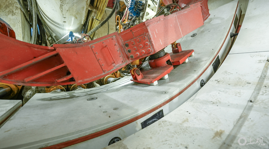 解放日报 孟雨涵 摄20250630_10