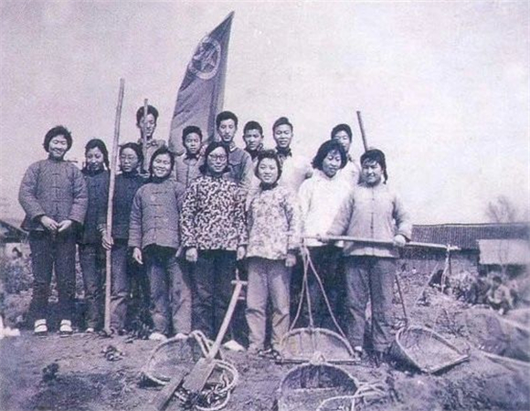 WDCM上传图片 WDCM上传图片