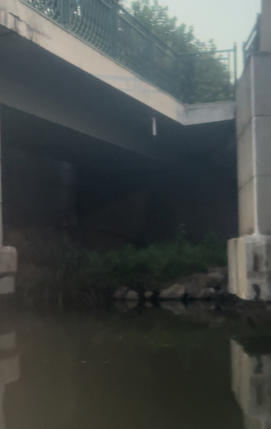 桥洞两侧的“死路”