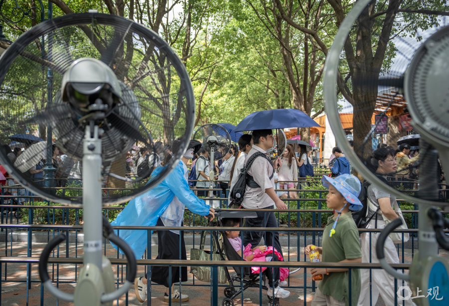 解放日报 孟雨涵 摄20250713_18