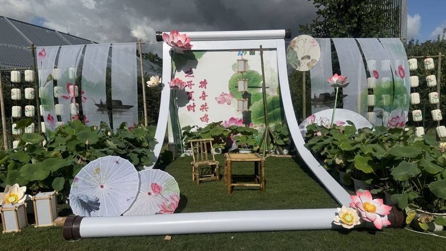 遛娃赏荷新去处!大宁公园夏季游园会来了,还能看“水上火壶”