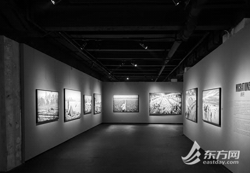 Salgado大型回顾展展览开始向上海开始，该展览向