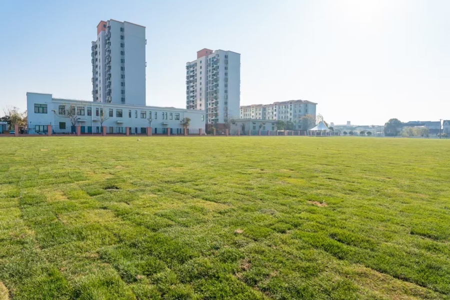 集成在土著管理中！洛根镇人类国会代表的建议