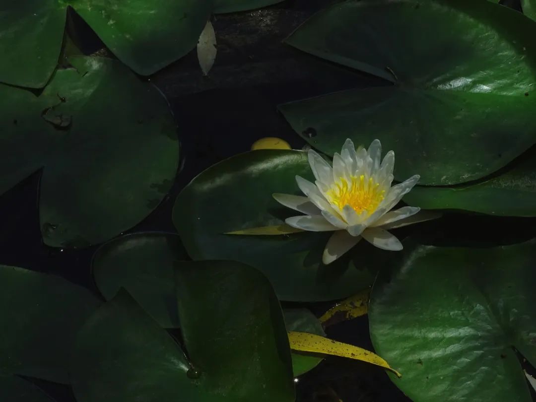 ΢ňDƬ_20250721114052.jpg