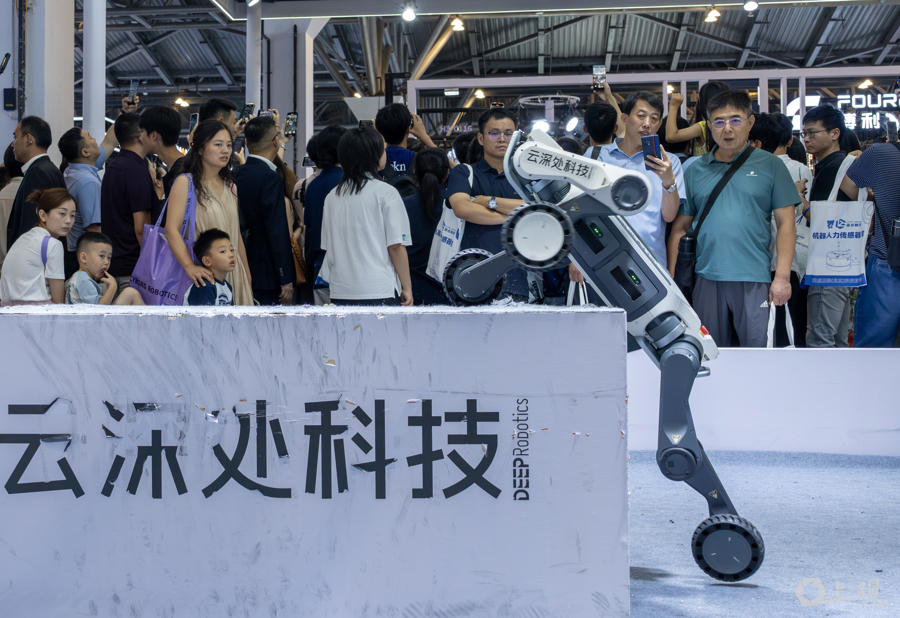 解放日报 孟雨涵 摄20250728_22