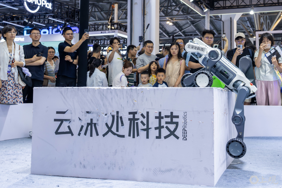 解放日报 孟雨涵 摄20250728_31