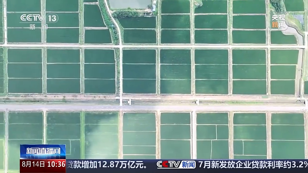 大型模型和无人机正在农场成为新助手。秋季的秋季谷物保证是“  - 毕业”