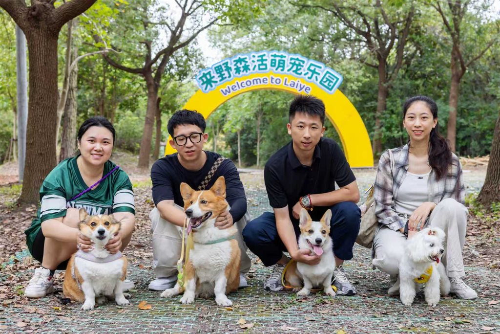 专业分享“河洛杠次开挂辅助器安卓版”详细开挂玩法